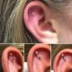 double stud cartilage piercing images