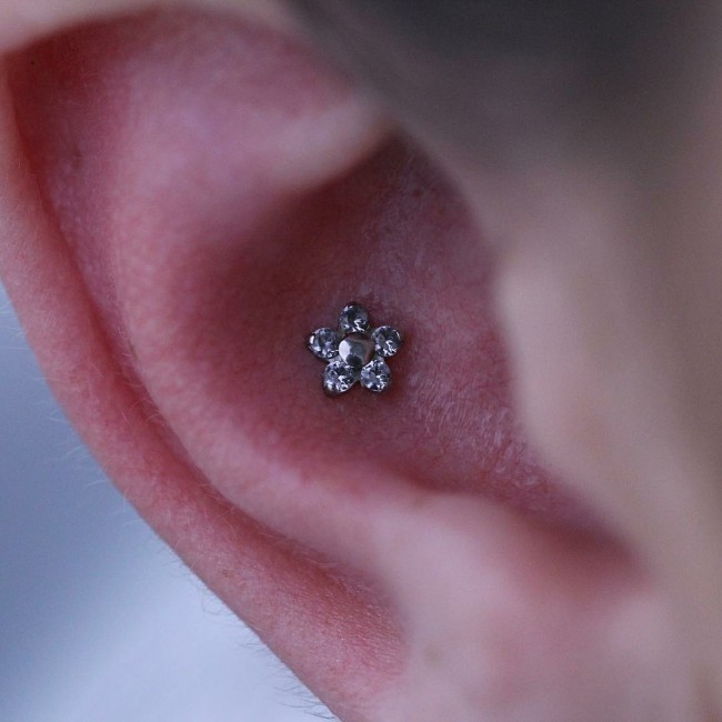 Conch Piercing 50 Ideas Pain Level Healing Time Cost Experience Piercee