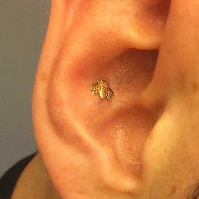 gold conch inner ear piercing type