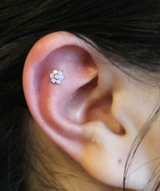 cartilage piercing image