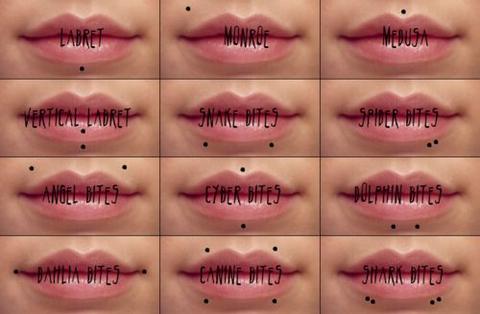 Lip Piercing Names Chart