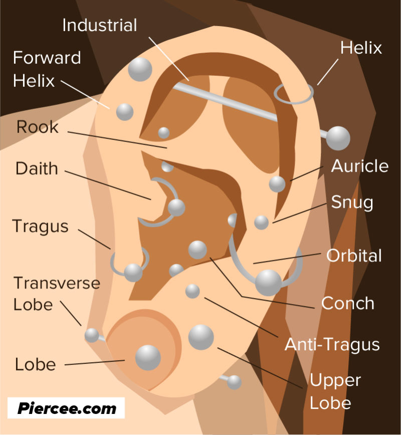 Ear Piercing Placement Chart