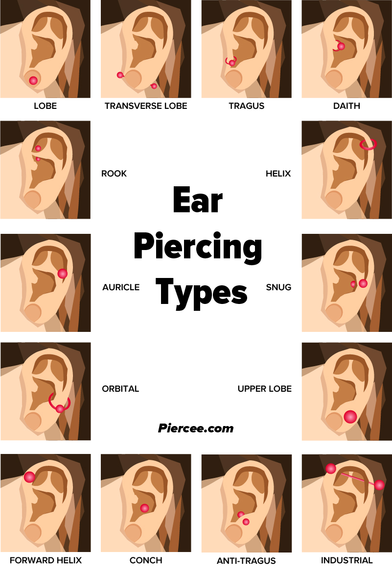 Ear Piercing Chart 17 Types Explained Pain Level Price